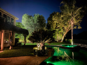 Night view of luxury pool and spa at West Valley Estate with uplighting on palm trees and lush landscape.