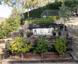 Terraced garden and citrus trees with lounge seating at West Valley Estate, surrounded by mature landscaping and hillside privacy.